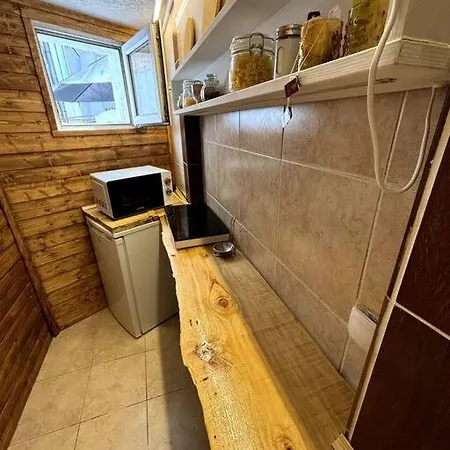 Apartment Stanislavsky Belgrade